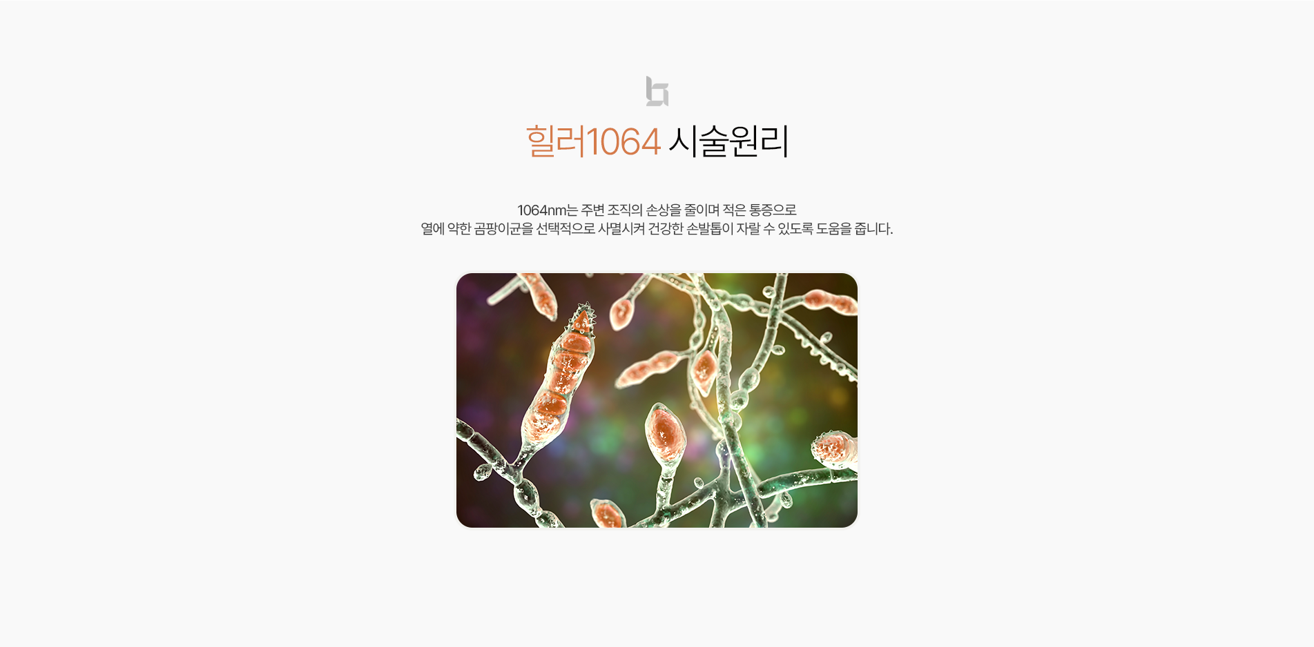 힐러1064 시술원리